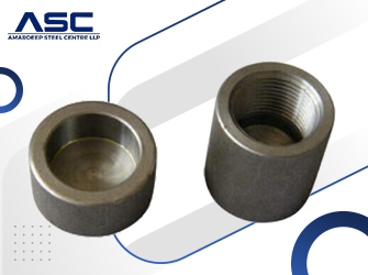 Stainless Steel 310s Pipe Cap
